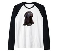 Chocolate Lab Dog - Labrador Retriever, cucciolo di cane marrone Maglia con Maniche Raglan