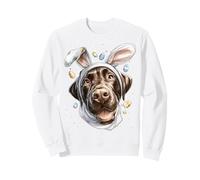 Chocolate Lab Dog Labrador Retriever - Orecchio da Coniglio Pasquale Felpa