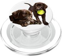 Chocolate Lab The Dog Padre The Lab Madre Brown Lab Amante PopSockets PopGrip per MagSafe