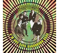 Chocolate Watchband - I'm Not Like Everybody Else