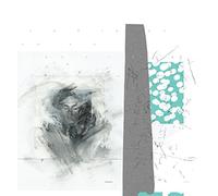 Choir Of Young Belie - Grasque