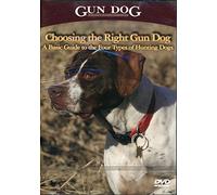 Choosing the Right Gun Dog