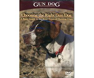 Choosing the Right Gun Dog