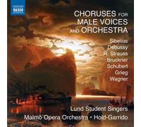 Choruses For Male Voices And Orchestra / Various - AA.VV. (Audio Cd)