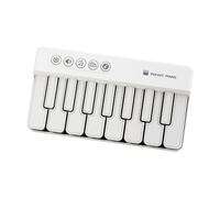 Chosertory Pianoforte Elettronico Tastiera Giocattolo Strumento Musicale Educativo Portatile PP Effetti Luminosi Adatto per Bambini Regalo Compleanno Formazione, Bianco