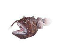 Chosertory Statuette di Pescatori, Creature degli Abissi, Giocattoli Cognitivi