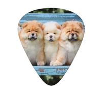 Chow-Chow Cani Carini Cinque Cuccioli,12 pezzi di plettri per chitarra, 3 plettri di diverso spessore per chitarra acustica, basso, ukulele