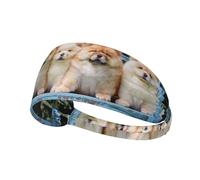 Chow-Chow Cani Carini Cinque Cuccioli,Fascia elastica per capelli multiuso unisex, fascia antisudore sportiva