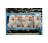 Chow-Chow Cani Carini Cinque Cuccioli, Puzzle da 500 Pezzi per Adulti - Puzzle in Legno per Adulti Anziani