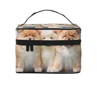 Chow-Chow Cani Carini Cinque CuccioliBorsa per il trucco, borsa cosmetica portatile per donna - Organizer da viaggio per cosmetici, regalo per momenti speciali