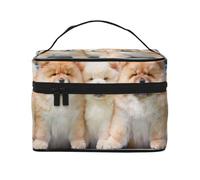 Chow-Chow, cinque cuccioli di cane carino, borsa da viaggio per il trucco da donna, grande organizer per cosmetici