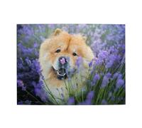 Chow-Chow, dolci e soffici cani marroni, viola e selvaggi, puzzle da 500 pezzi per adulti - Puzzle in legno per adulti e anziani