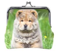 Chow Puppy Dog Grass Portamonete da donna e sacchetti con fibbia con lucchetto a bacio portamonete per monete, Chow Puppy Dog Grass, classico
