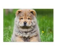 Chow Puppy Dog Grass Puzzle per adulti 500 pezzi elefante bianco puzzle unico puzzle giocattolo opera d'arte, 50,8 x 37,9 cm