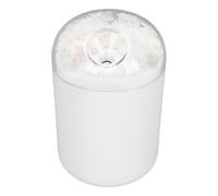 Chrees Eternal Flower - Umidificatore da desktop, luce colorata per camera da letto, ufficio, design creativo, 500 ml di acqua, alimentazione USB, decorazione domestica (bianco)