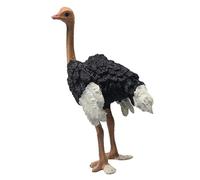 Chrees Statuetta Realistica di Struzzo, Modello di Giocattolo di Animali Selvatici Realistico con Design Ispirato All'enciclopedia, Materiale in PVC Sicuro per Giochi Educativi per