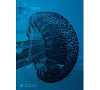 Chris al The Imaginary Sea (Copertina rigida)