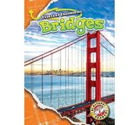 Chris Bowman Bridges (Copertina rigida) Everyday Engineering