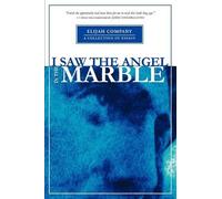 Chris Davis Ellyn Davis I Saw the Angel in the Marble (Tascabile)