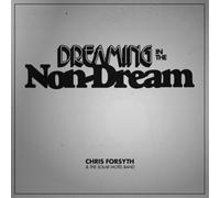 Chris Forsyth and The Solar Motel Band Dreaming in the Non-dream (Vinyl LP)