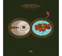 Chris Forsyth & The Solar Motel Band - Rarity Of Experience