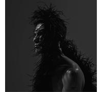 Chris Garneau Yours (Vinyl LP) 12" Album