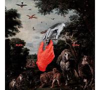 Chris Liebing Burn Slow (CD)