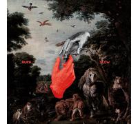 Chris Liebing Burn Slow (Vinyl LP)