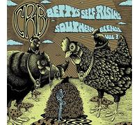 Chris Robinson Brotherho Betty's Self-rising Southern Blends - Volume (Vinyl LP)