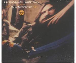 Chris Robinson - This Magnificent Distance