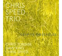 Chris Speed Trio - Despite Obstacles