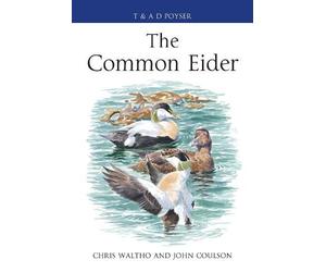 Chris Waltho John Coulson The Common Eider (Copertina rigida) Poyser Monographs