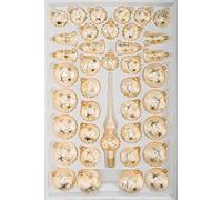 Christbaumkugeln-24.de 39 Pezzi di Vetro Palline di Natale Insieme in Ice Champagne Stella d'oro - Decorazioni Natalizie Alberi di Natale Palle