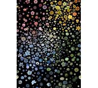 Christian Lacroix Carta da parati Jardin des Hesperides - Multicolore