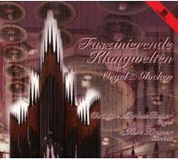 Christian-Markus/Kramer Raiser Faszinierende Klangwelten (CD)