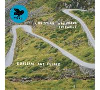 Christian Wallumrød Ensemble Kurzsam and Fulger (CD) Album