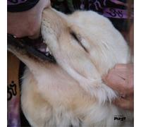 It'S Hard For Me To Say I'M Sorry - Jim O'Rourke (Audio cd)