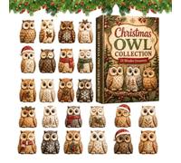 Christmas Countdown Calendar - 2026 2D Acrylic 24 Days Funny Cute Owl Decor | 2026 Christmas Calendar Countdown Box for Kids Teen Boys Girls Home Office School Holiday Party Favors
