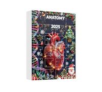 Christmas Countdown Calendar - 24 Days Advent 2D Figurines with Heart Decor | Decorative Holiday Countdown for Doctors Students Families, Table Wall Cabinet Bedroom Living Room or Shelf Display