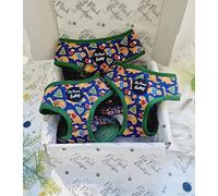 Christmas Dino Rawr Biscuits Pettorina per cani L
