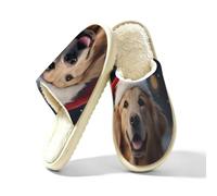 Christmas Golden Retriever Dog Pantofole da donna in memory foam, Multi, 40/40.5 EU