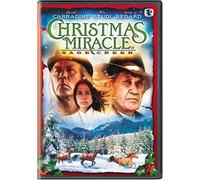Christmas Miracle at Sage Creek