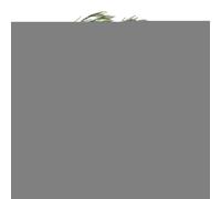 Christmas Norfolk Garland - Christmas Outdoor Greenery Garland - Real Touch Wreath Decorative Ornaments for Home Decorations Party Banister Fireplace Mantel Porch Door Table