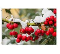 Christmas Red Berries On The Branch Covered By Snow Bandiera All'Aperto 90X150Cm Resistenti Banner Appendere Bandiera Vacanza Per Sport Interni Casa