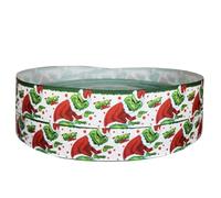 Christmas The Grinch 2 m x 22 mm di larghezza, ideale per accessori per decorare torte e idee decorative per confezioni regalo, fiocchi, decorazioni o confezioni per borse, scatole Eva, biglietti,