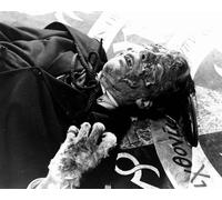 Christopher Lee Dracula A. K.A.Horror Of Dracula [1040654] 8x10 Foto O Poster