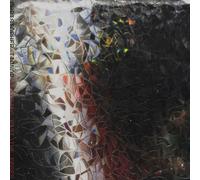 Christopher Tignor Christopher Tignor: Bleeding Past the Edges (Vinyl LP)