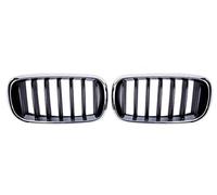 Chrome Car Front Rene Grill Griglie Radiatori Sportive Griglia Griglie Placca Per BMW Per X5 F15 X6 F16 X5M F85 X6M F86 2014-2017 Griglia Anteriore