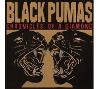 Black Pumas Chronicles of a Diamond Alternate Artwork) (CD)