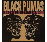 Black Pumas - Chronicles Of A Diamond